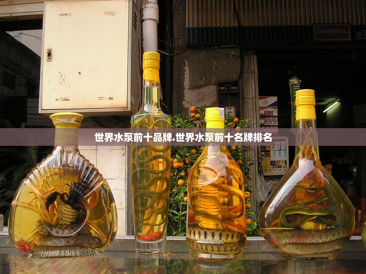 世界水泵前十品牌.世界水泵前十名牌排名