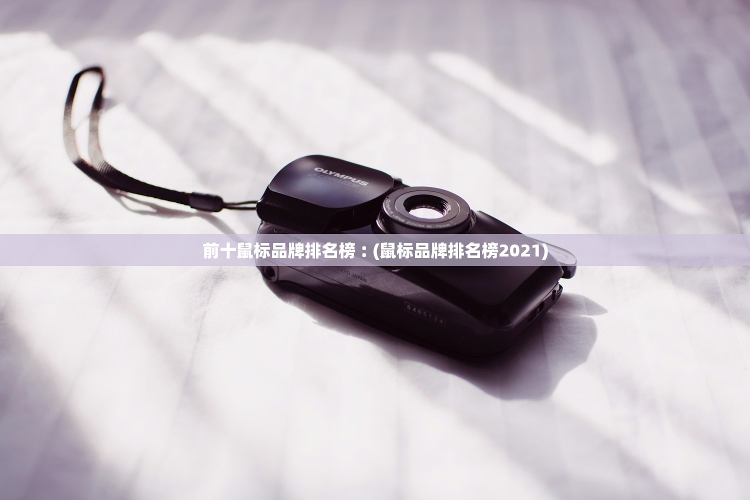 前十鼠标品牌排名榜︰(鼠标品牌排名榜2021)
