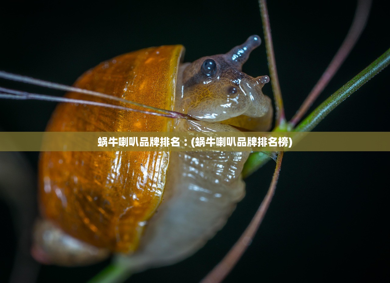 蜗牛喇叭品牌排名︰(蜗牛喇叭品牌排名榜)