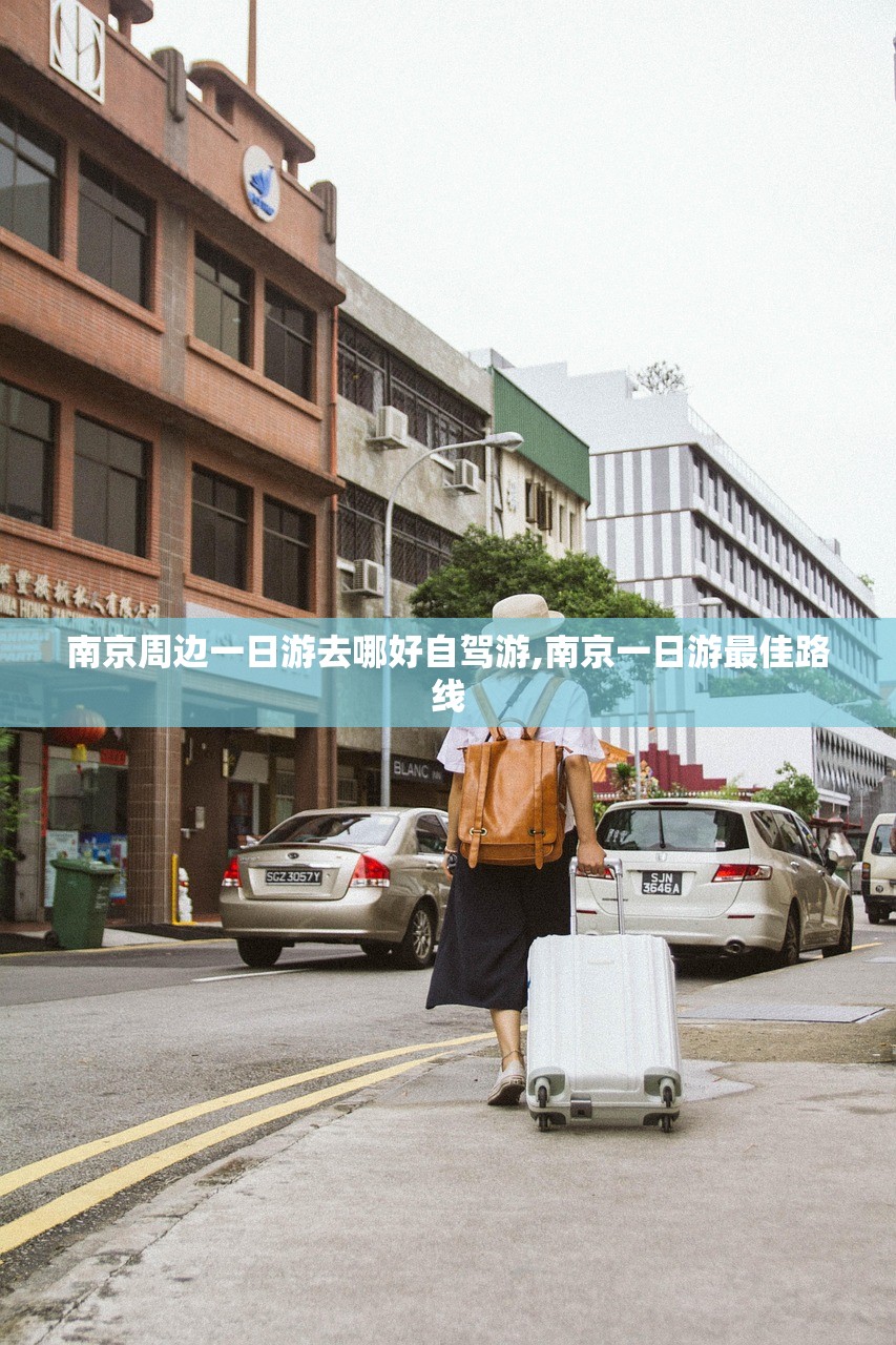 南京周边一日游去哪好自驾游,南京一日游最佳路线