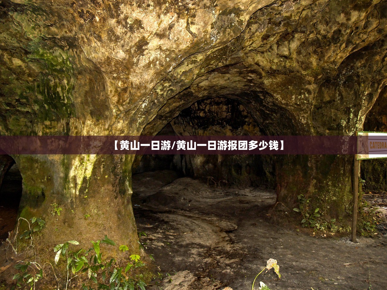 【黄山一日游/黄山一日游报团多少钱】 【黄山一日游/黄山一日游报团多少钱】