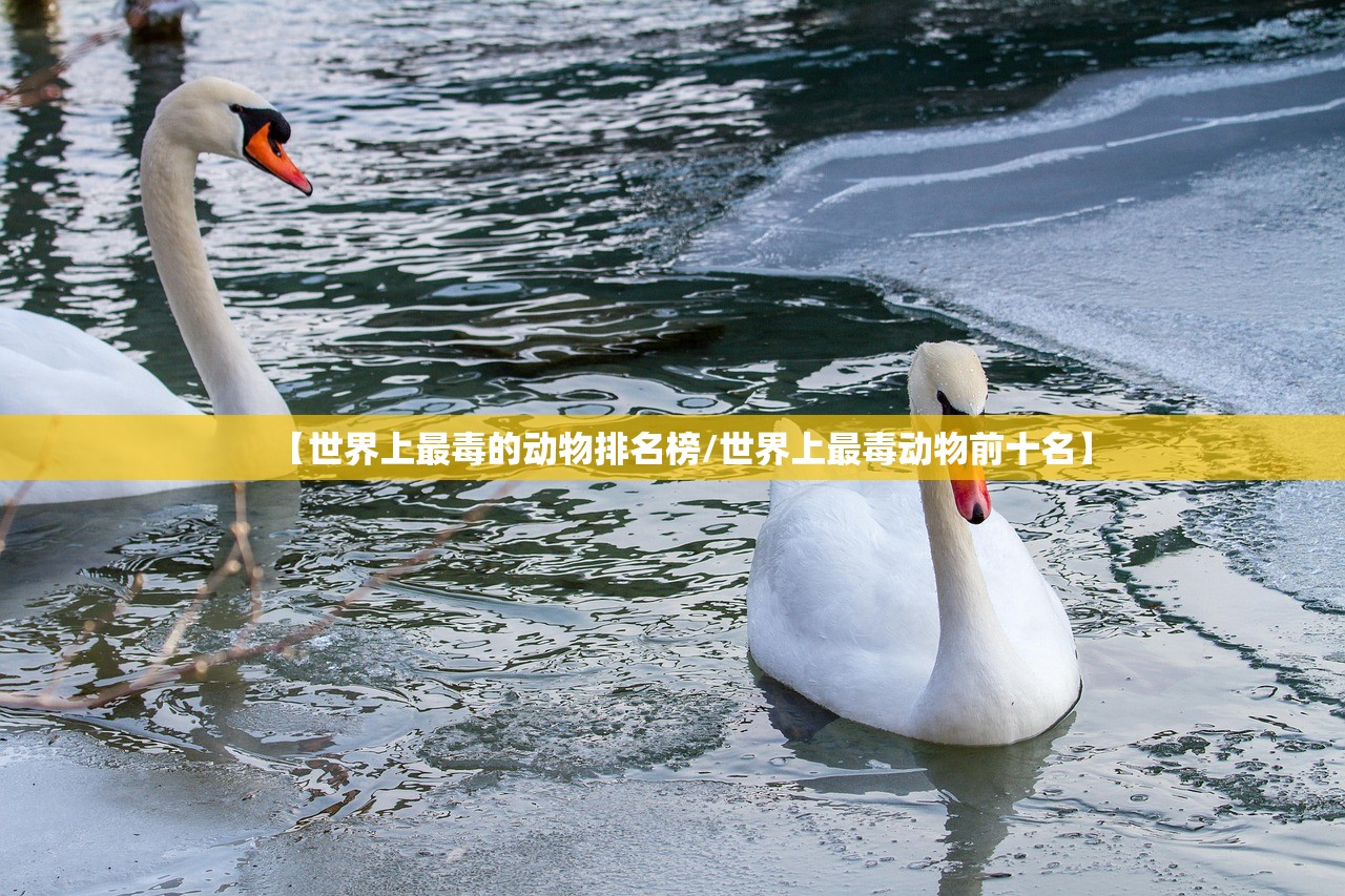 【世界上最毒的动物排名榜/世界上最毒动物前十名】