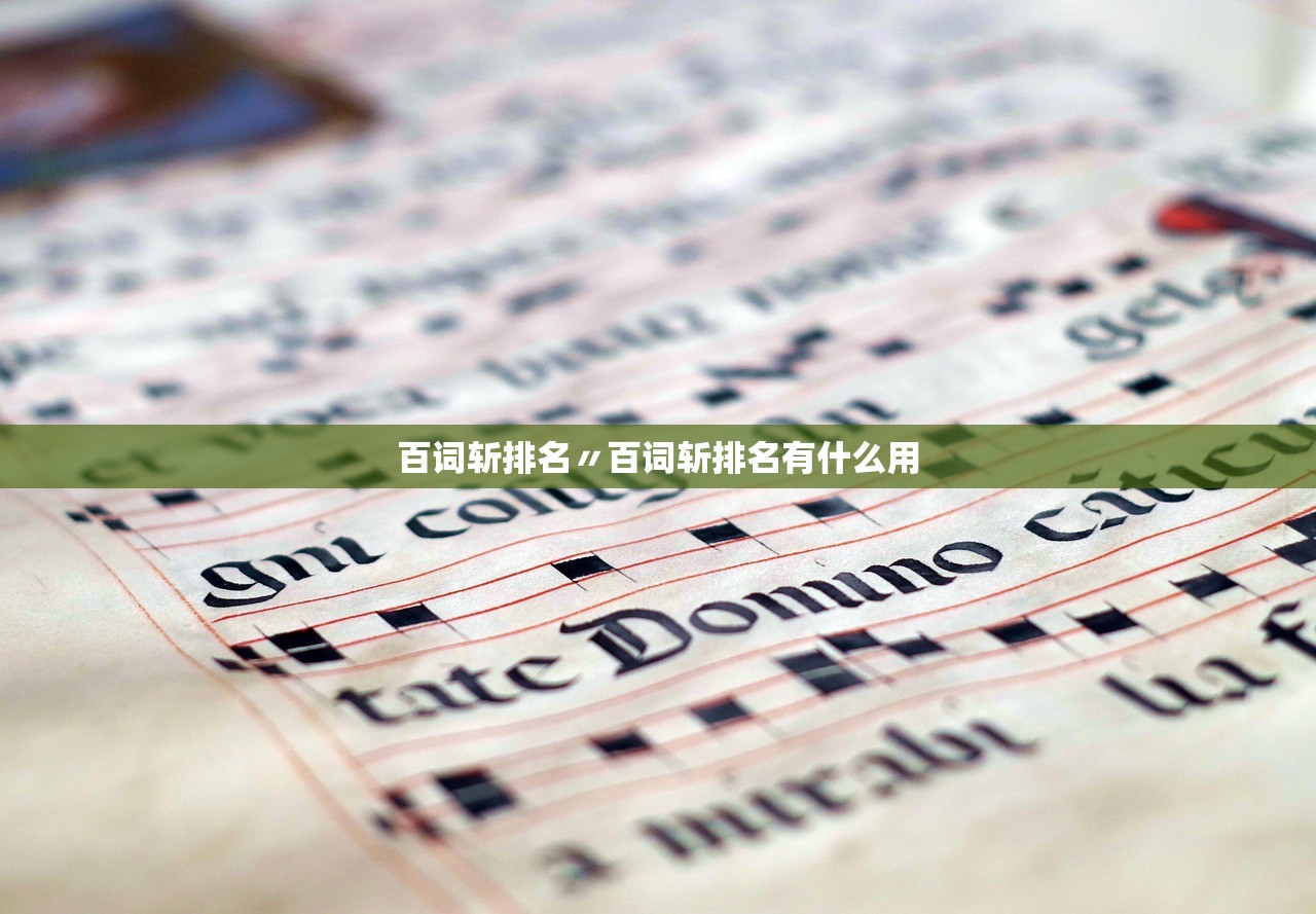 百词斩排名〃百词斩排名有什么用