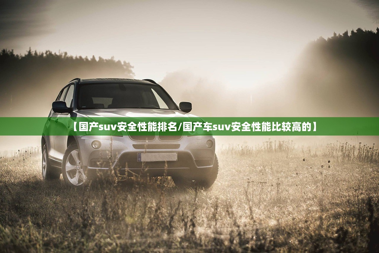 【国产suv安全性能排名/国产车suv安全性能比较高的】
