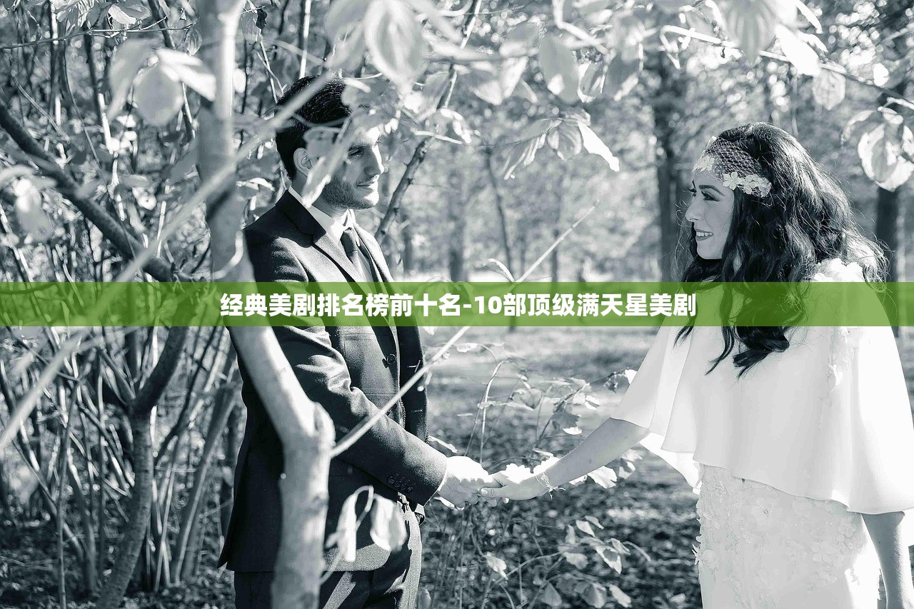 经典美剧排名榜前十名-10部顶级满天星美剧