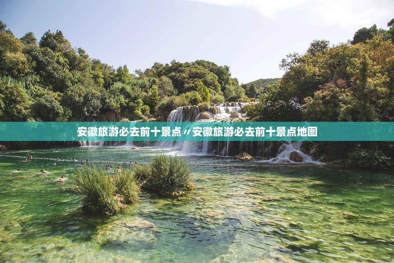 关于中央最新指示停止核酸检测的信息 关于中央最新指示停止核酸检测的信息