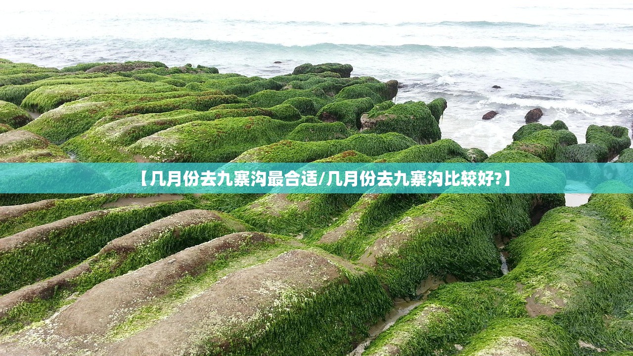 “上海新增境外输入病例5例” 上海新增冠状病毒？