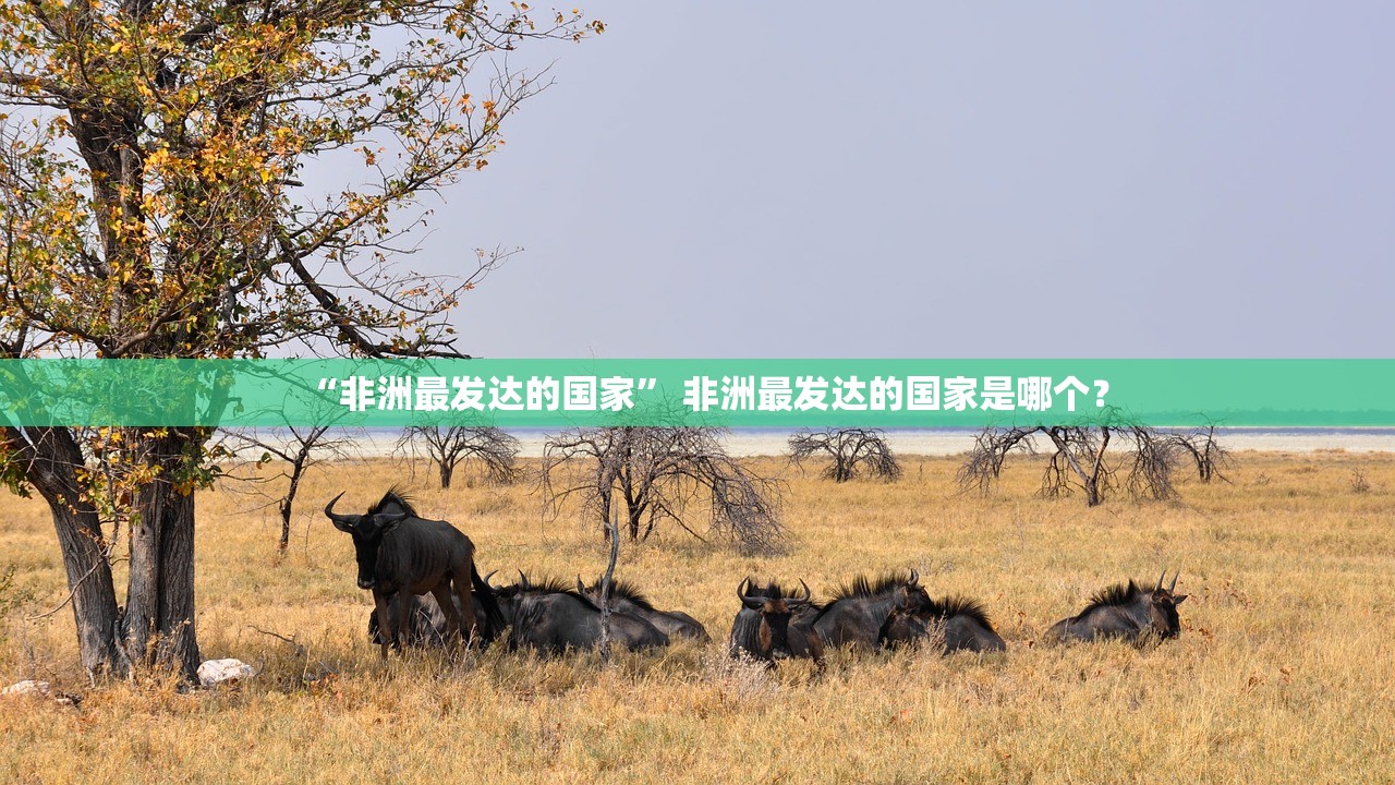 “非洲最发达的国家	” 非洲最发达的国家是哪个？