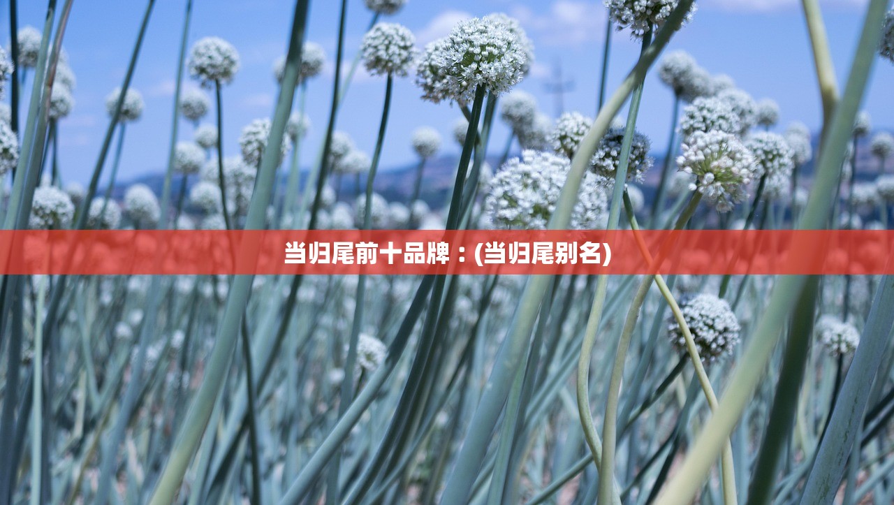 当归尾前十品牌︰(当归尾别名) 当归尾前十品牌︰(当归尾别名)
