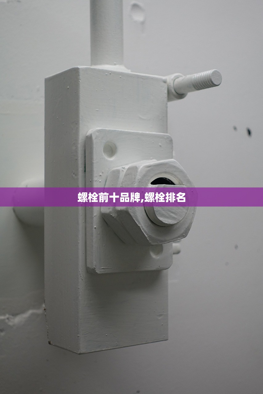 螺栓前十品牌,螺栓排名 螺栓前十品牌,螺栓排名