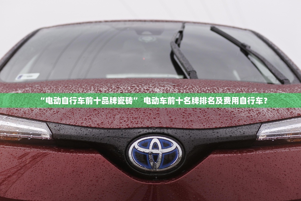 “电动自行车前十品牌瓷砖” 电动车前十名牌排名及费用自行车？