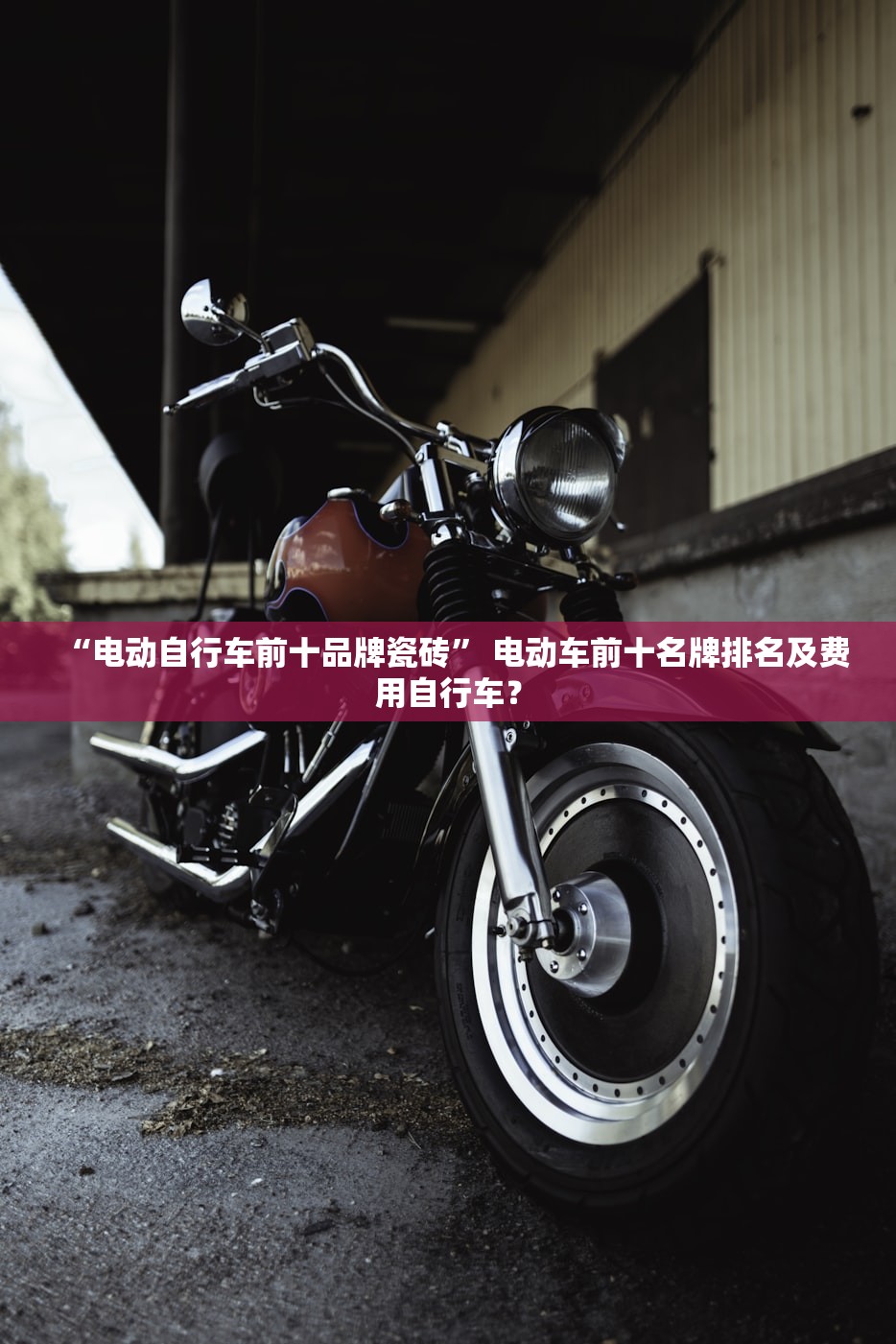 “电动自行车前十品牌瓷砖” 电动车前十名牌排名及费用自行车？