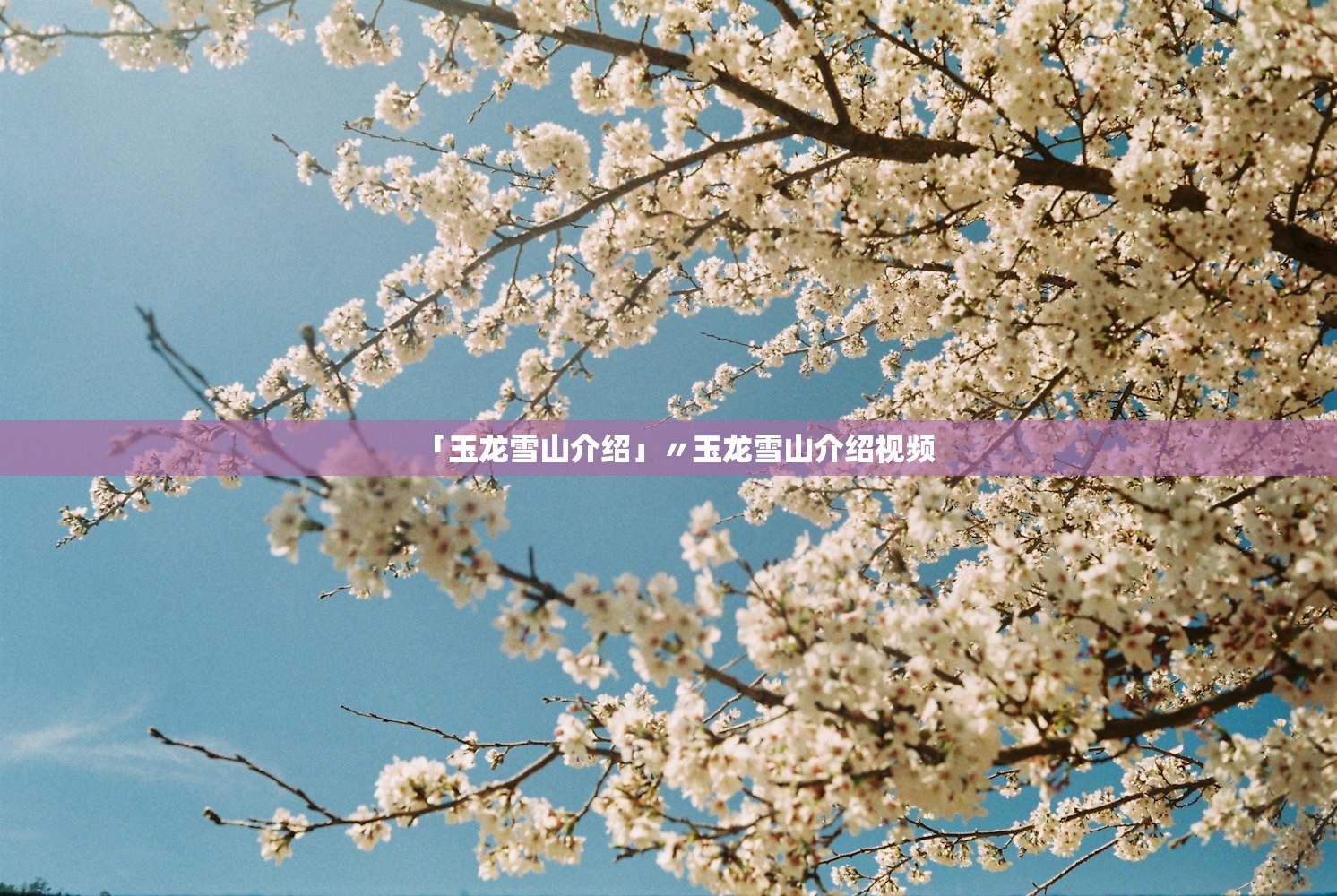 「玉龙雪山介绍」〃玉龙雪山介绍视频 「玉龙雪山介绍」〃玉龙雪山介绍视频