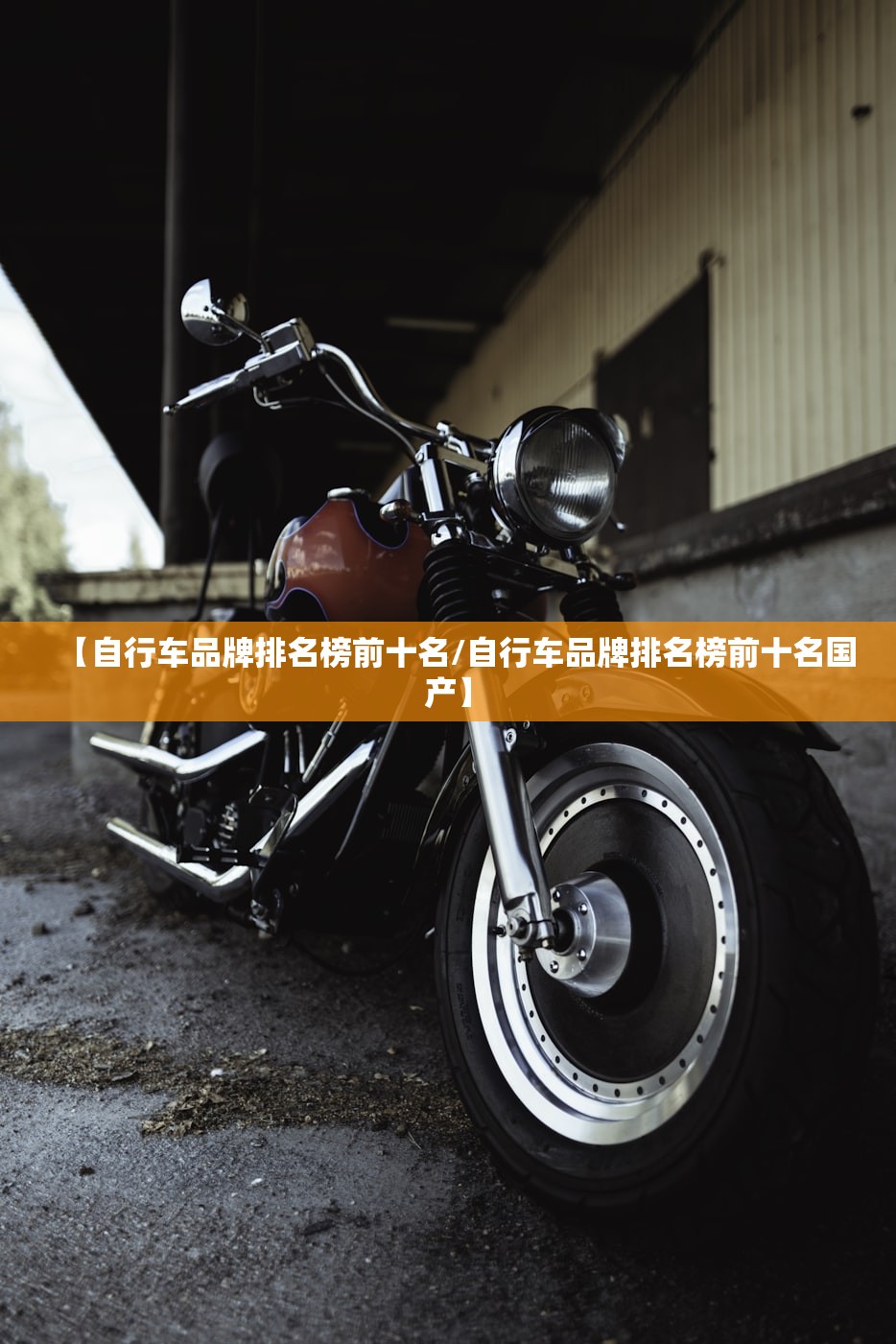 【自行车品牌排名榜前十名/自行车品牌排名榜前十名国产】 【自行车品牌排名榜前十名/自行车品牌排名榜前十名国产】