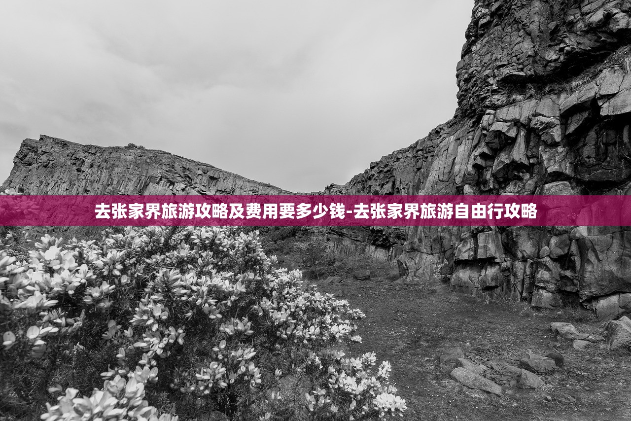 去张家界旅游攻略及费用要多少钱-去张家界旅游自由行攻略 去张家界旅游攻略及费用要多少钱-去张家界旅游自由行攻略