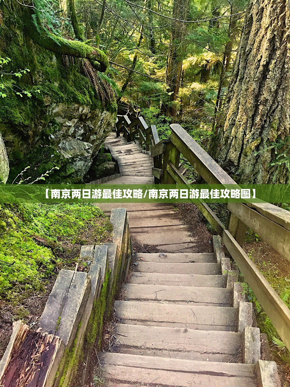 【南京两日游最佳攻略/南京两日游最佳攻略图】 【南京两日游最佳攻略/南京两日游最佳攻略图】