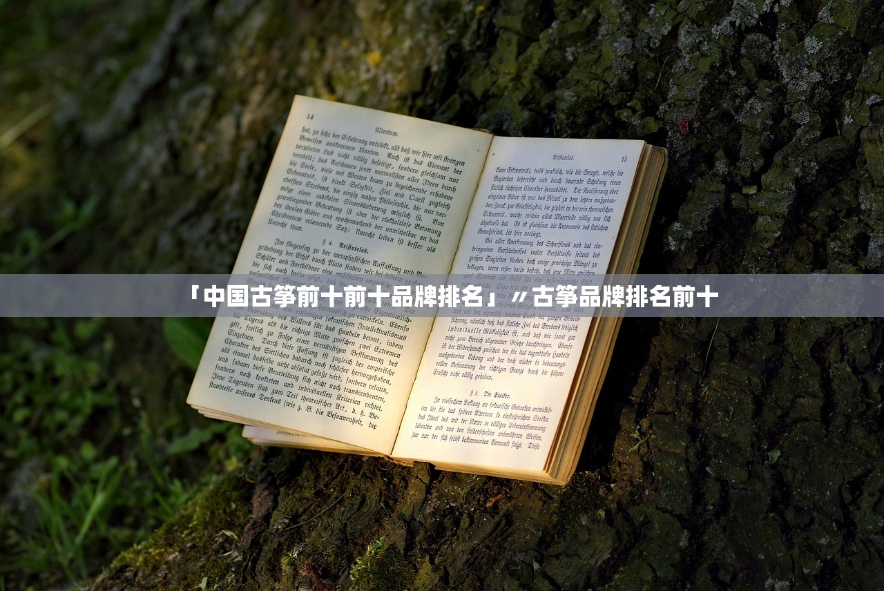 「中国古筝前十前十品牌排名」〃古筝品牌排名前十 「中国古筝前十前十品牌排名」〃古筝品牌排名前十