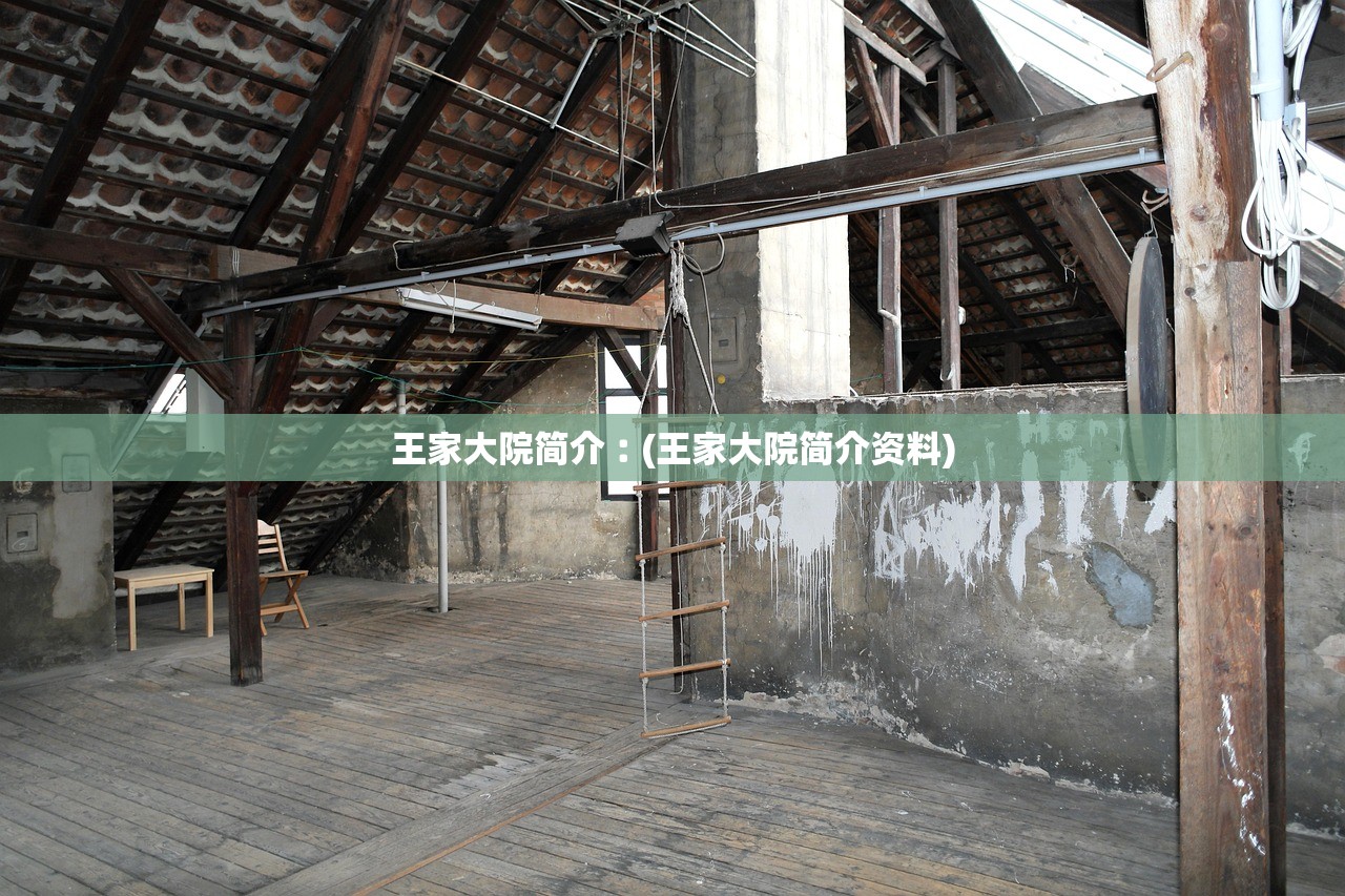 王家大院简介︰(王家大院简介资料) 王家大院简介︰(王家大院简介资料)