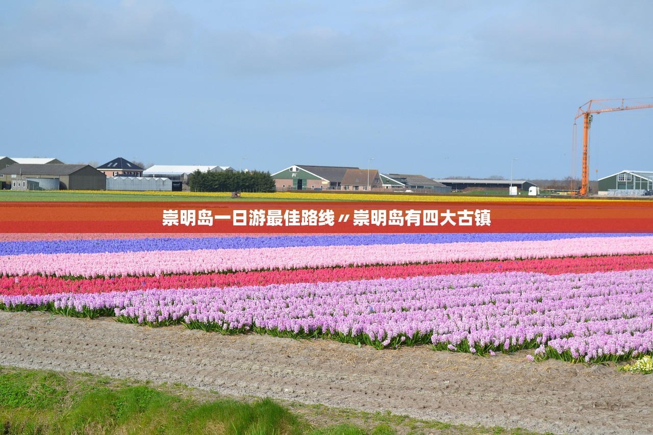 崇明岛一日游最佳路线〃崇明岛有四大古镇