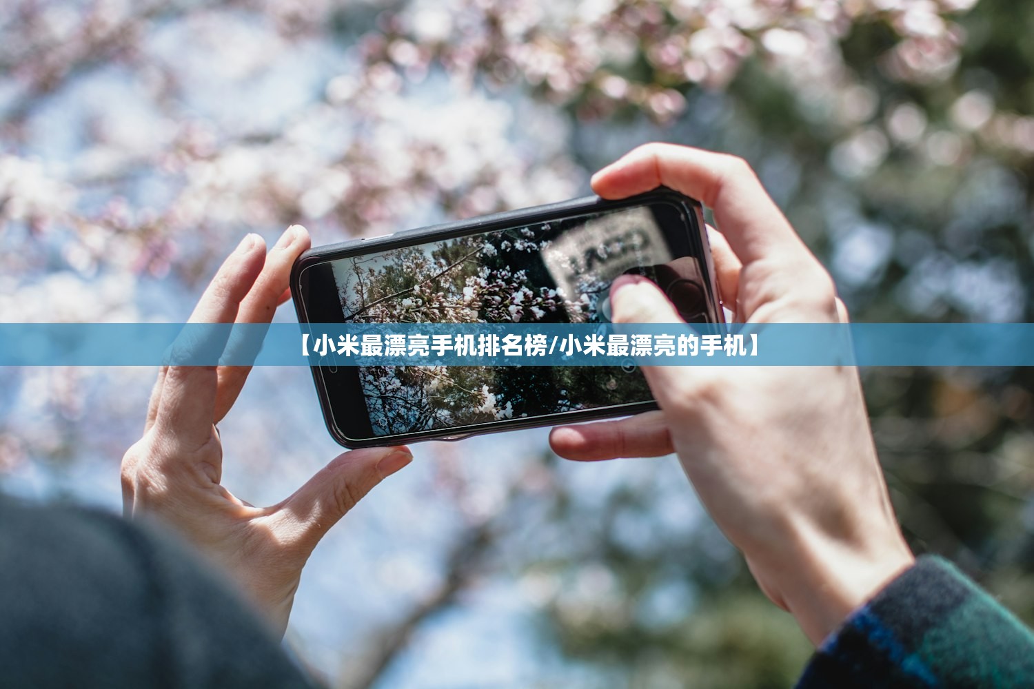 【小米最漂亮手机排名榜/小米最漂亮的手机】