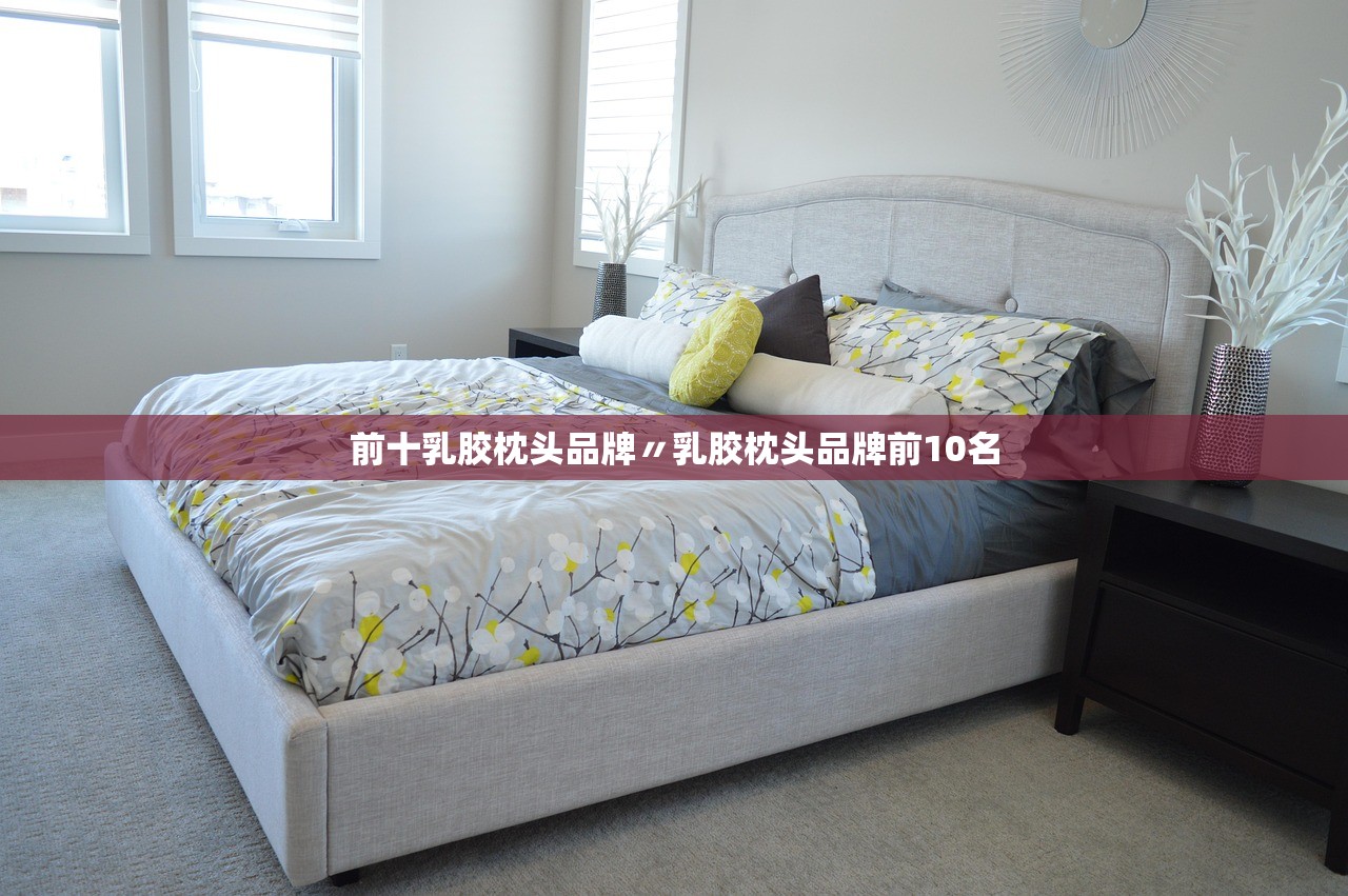 前十乳胶枕头品牌〃乳胶枕头品牌前10名 前十乳胶枕头品牌〃乳胶枕头品牌前10名