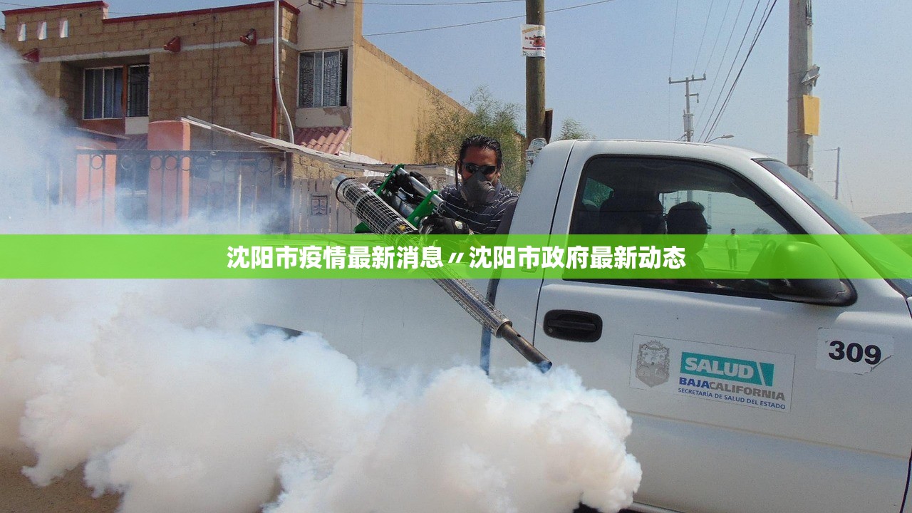 沈阳市疫情最新消息〃沈阳市政府最新动态