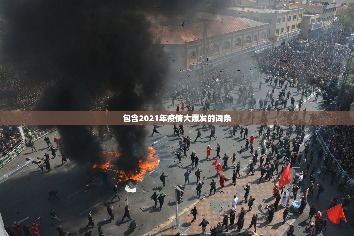 包含2021年疫情大爆发的词条