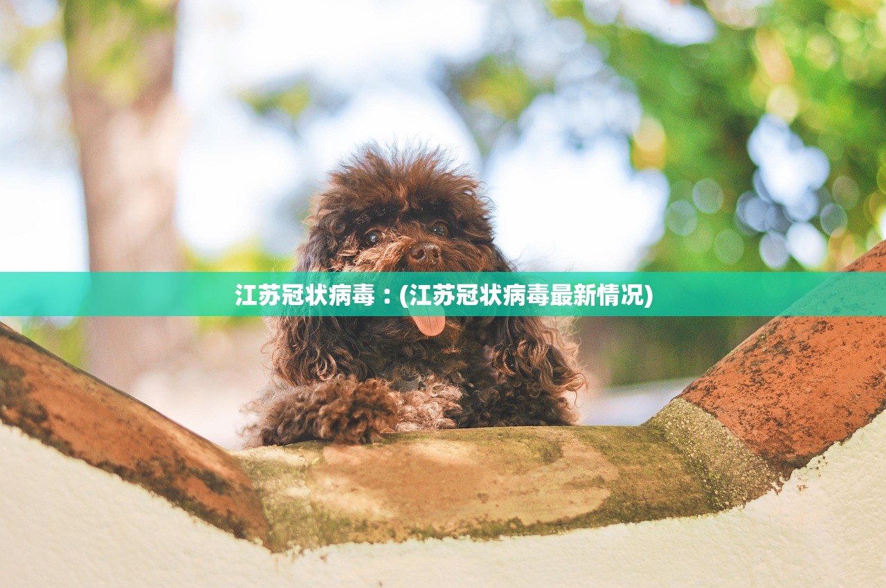 江苏冠状病毒︰(江苏冠状病毒最新情况) 江苏冠状病毒︰(江苏冠状病毒最新情况)