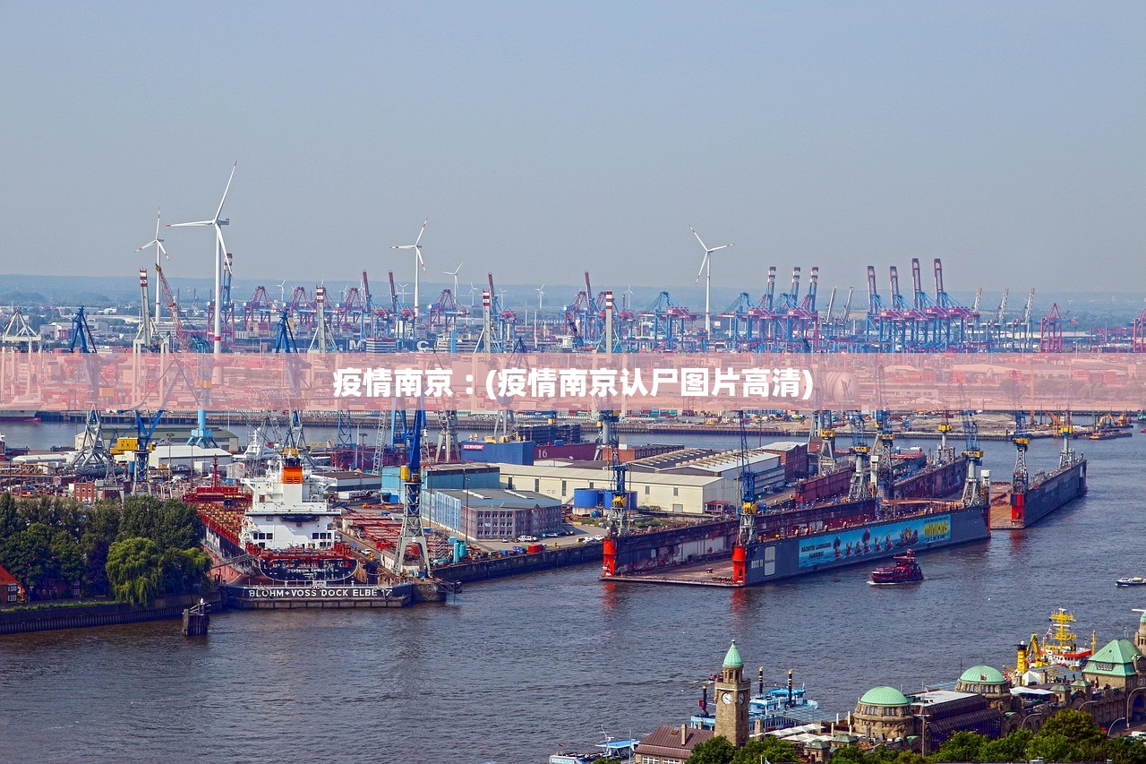 疫情南京︰(疫情南京认尸图片高清) 疫情南京︰(疫情南京认尸图片高清)