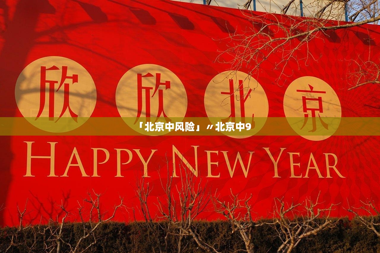 「北京中风险」〃北京中9 「北京中风险」〃北京中9