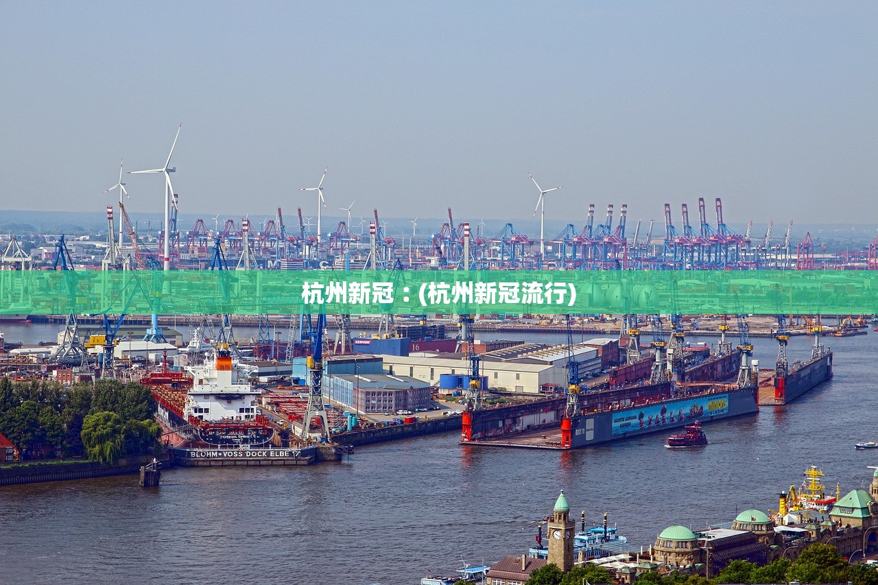 杭州新冠︰(杭州新冠流行)