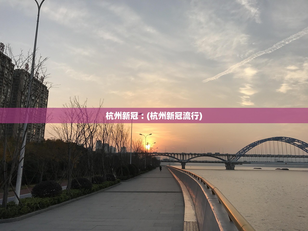 杭州新冠︰(杭州新冠流行)