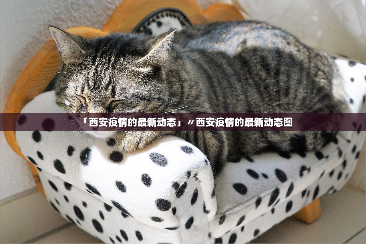 「西安疫情的最新动态」〃西安疫情的最新动态图
