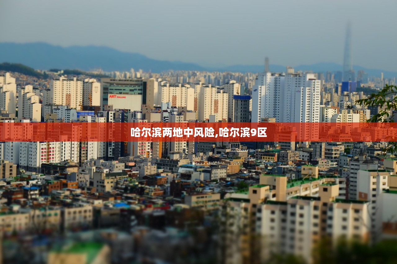 哈尔滨两地中风险,哈尔滨9区 哈尔滨两地中风险,哈尔滨9区