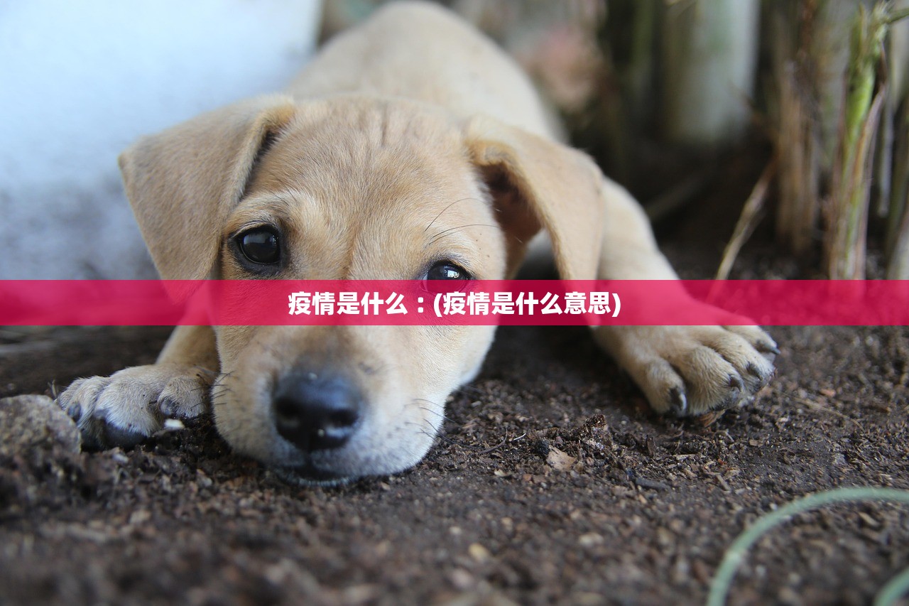 疫情是什么︰(疫情是什么意思) 疫情是什么︰(疫情是什么意思)