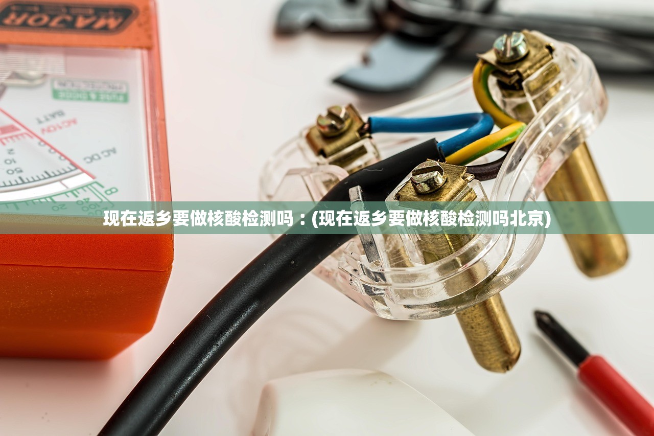 现在返乡要做核酸检测吗︰(现在返乡要做核酸检测吗北京) 现在返乡要做核酸检测吗︰(现在返乡要做核酸检测吗北京)