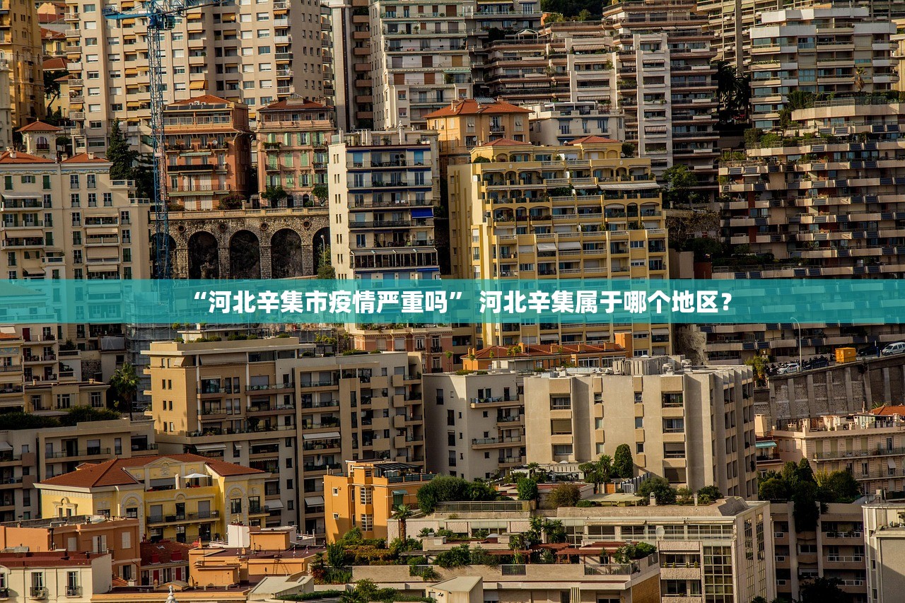 “河北辛集市疫情严重吗” 河北辛集属于哪个地区？