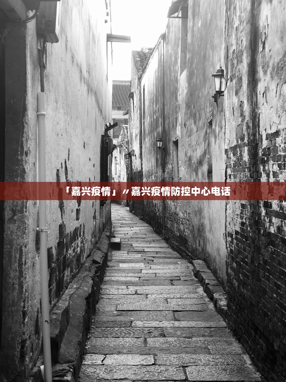 「嘉兴疫情」〃嘉兴疫情防控中心电话