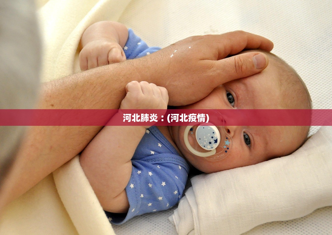 河北肺炎︰(河北疫情) 河北肺炎︰(河北疫情)
