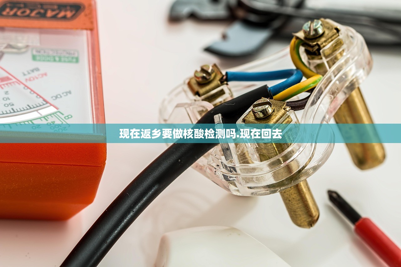 现在返乡要做核酸检测吗.现在回去