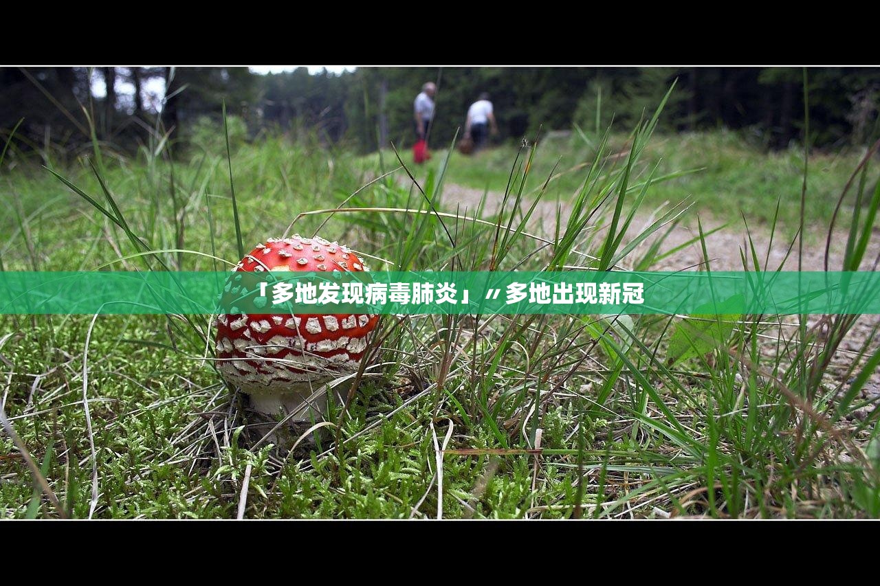 「多地发现病毒肺炎」〃多地出现新冠