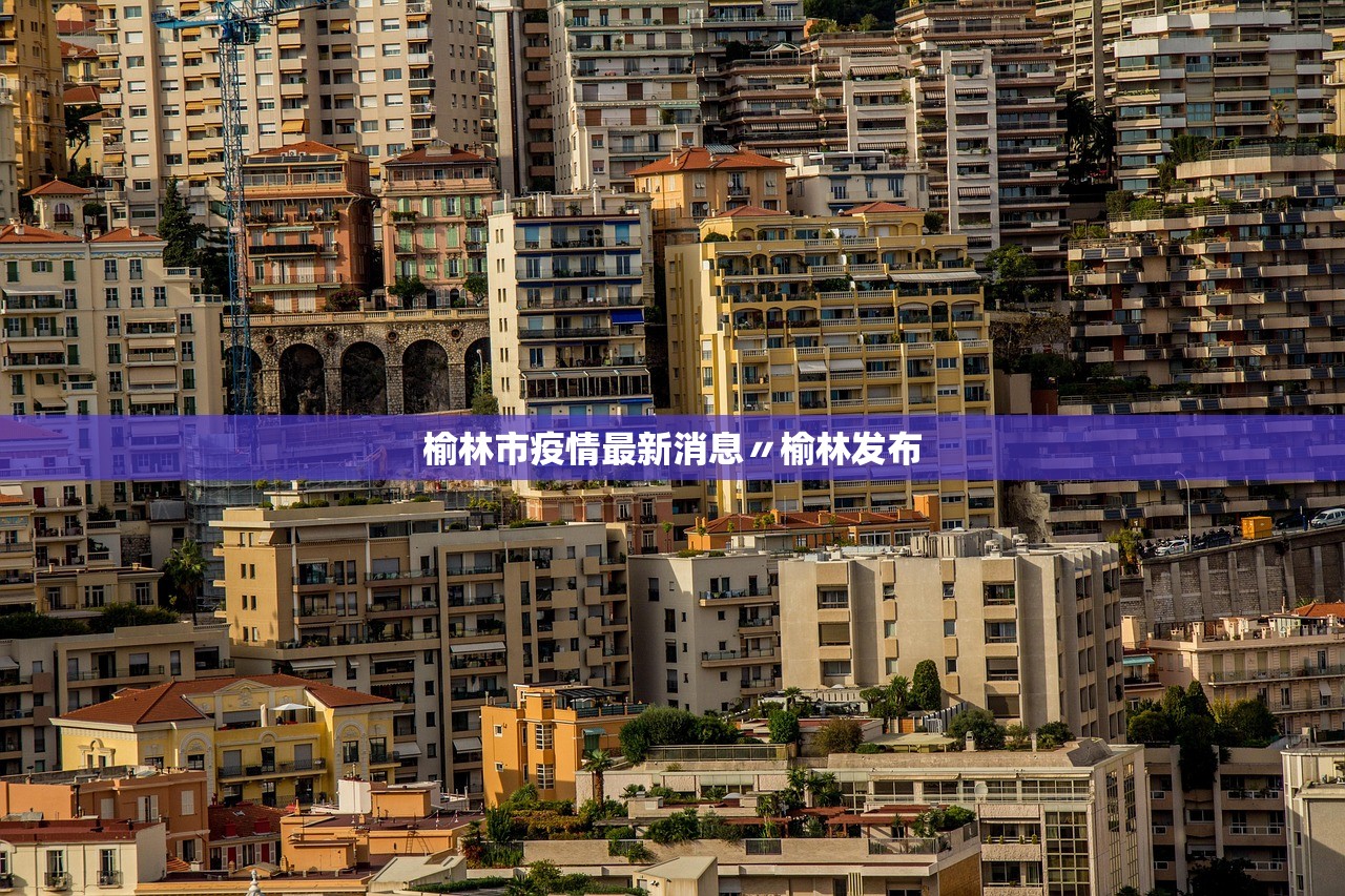 榆林市疫情最新消息〃榆林发布 榆林市疫情最新消息〃榆林发布