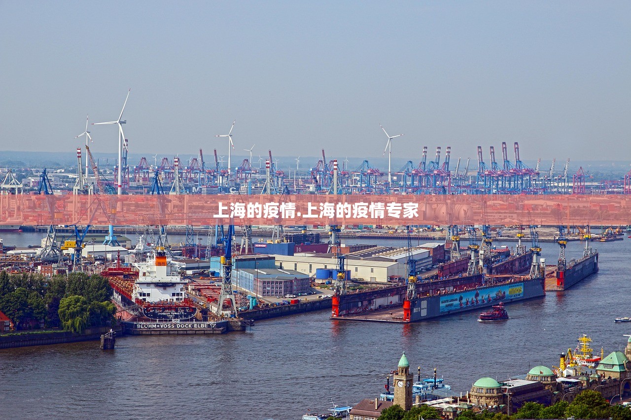 上海的疫情.上海的疫情专家 上海的疫情.上海的疫情专家
