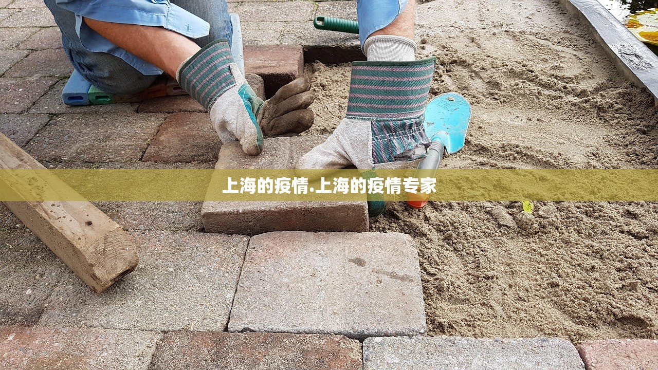 上海的疫情.上海的疫情专家 上海的疫情.上海的疫情专家