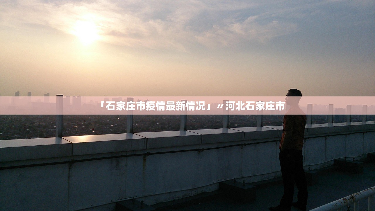 「石家庄市疫情最新情况」〃河北石家庄市