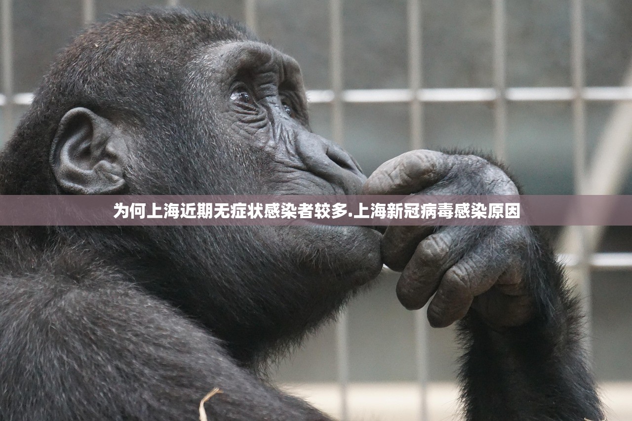 为何上海近期无症状感染者较多.上海新冠病毒感染原因