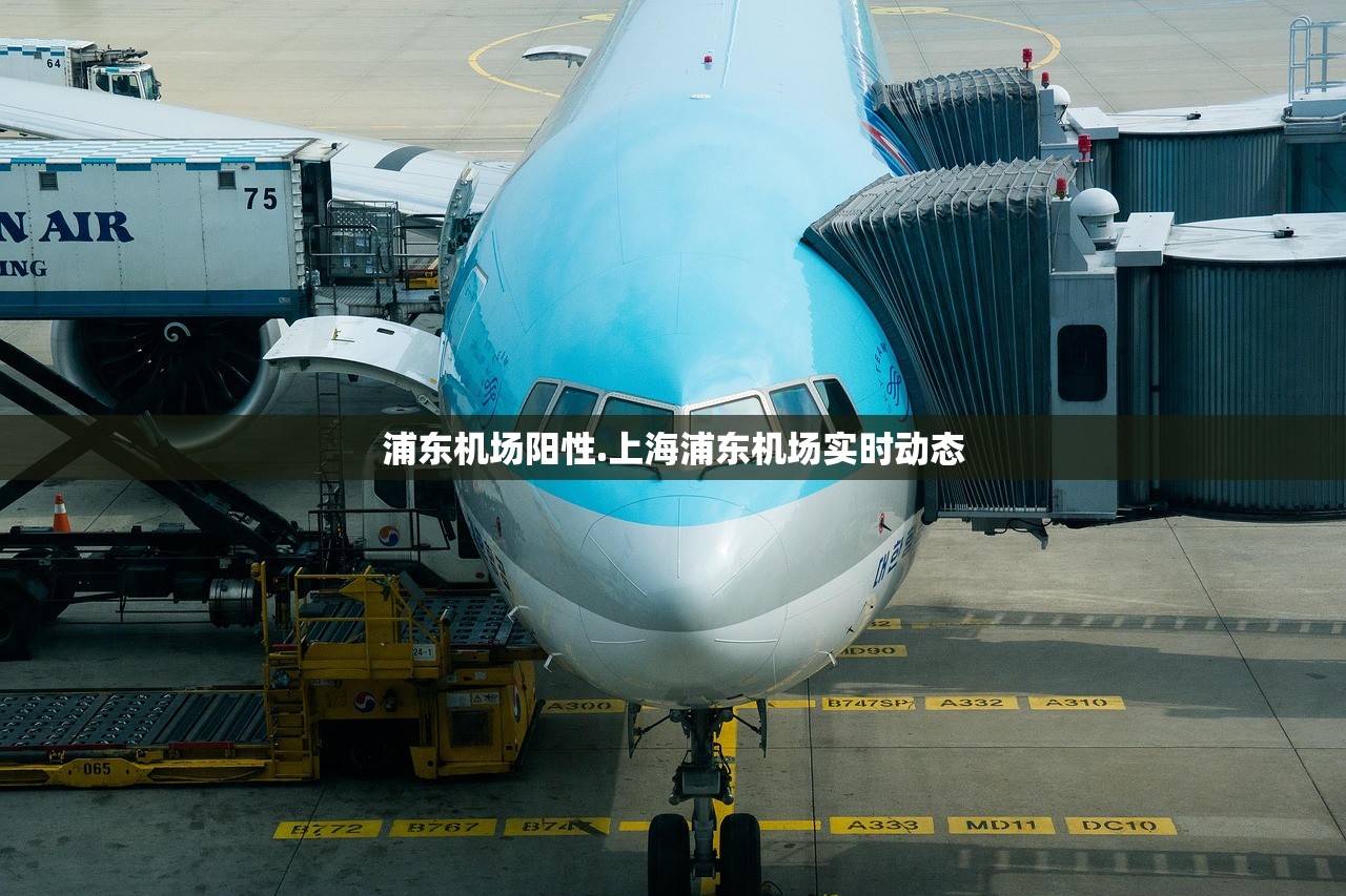 浦东机场阳性.上海浦东机场实时动态