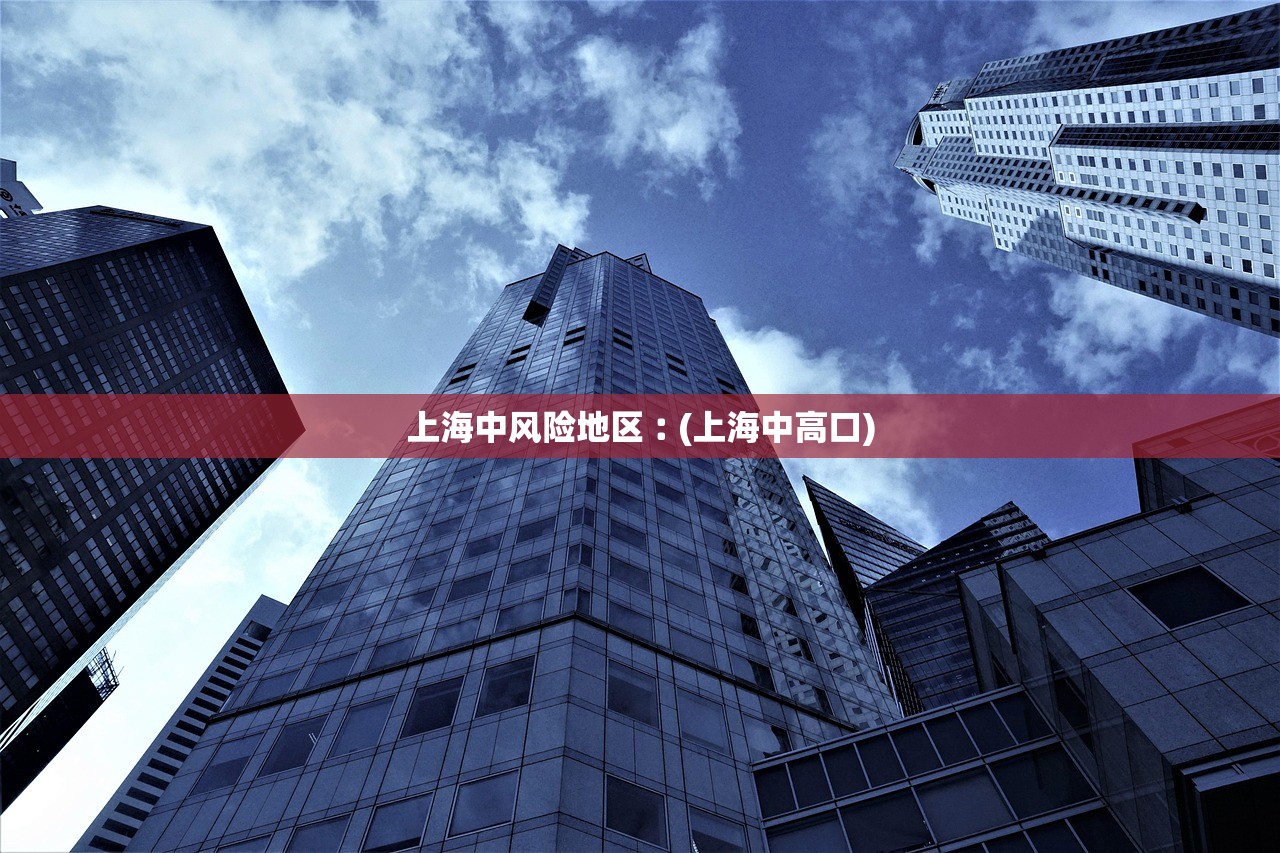 上海中风险地区︰(上海中高口) 上海中风险地区︰(上海中高口)