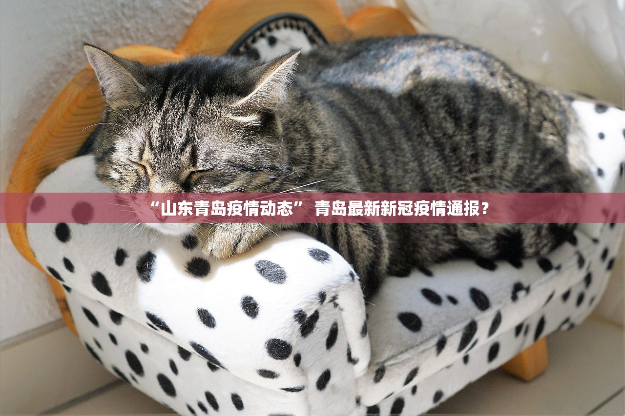 “山东青岛疫情动态” 青岛最新新冠疫情通报？